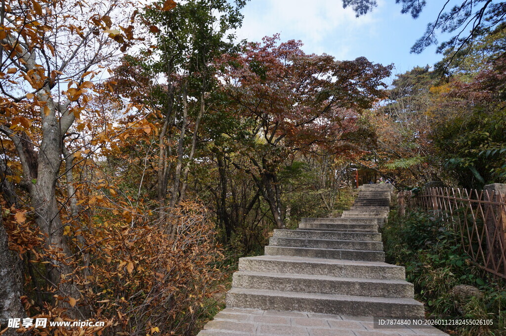 秋日山林中的石阶小径