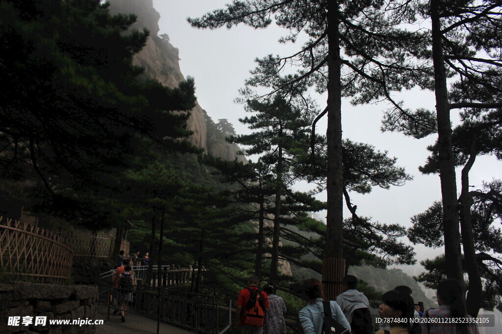 山间松林中的游人景象