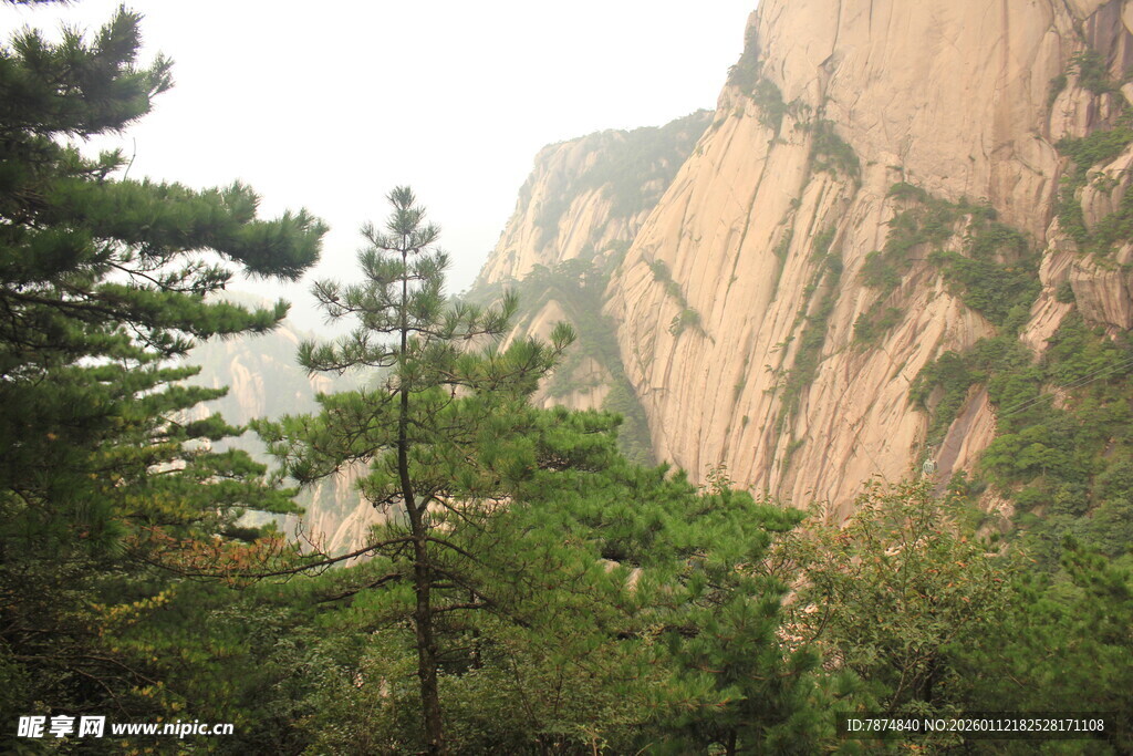 巍峨山峰与葱郁林木