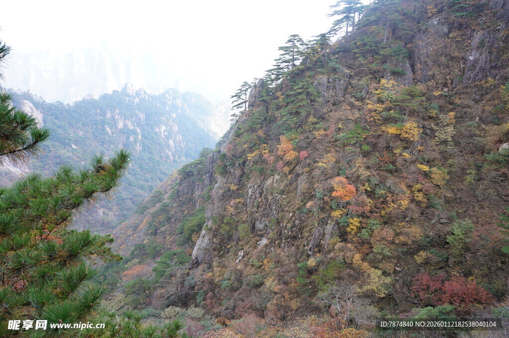 秋日山林峡谷美景