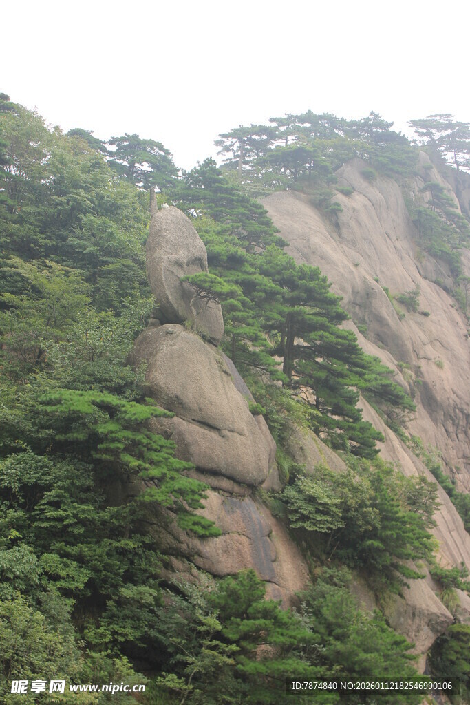峻峭山峰覆绿植