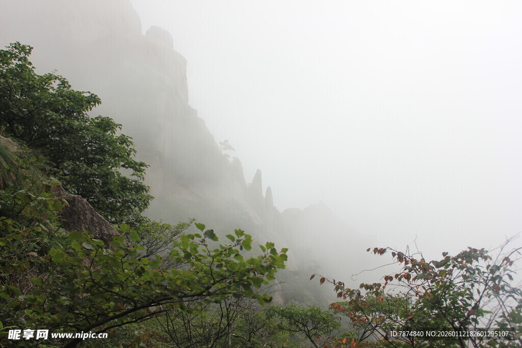 山间雾景绿意浓