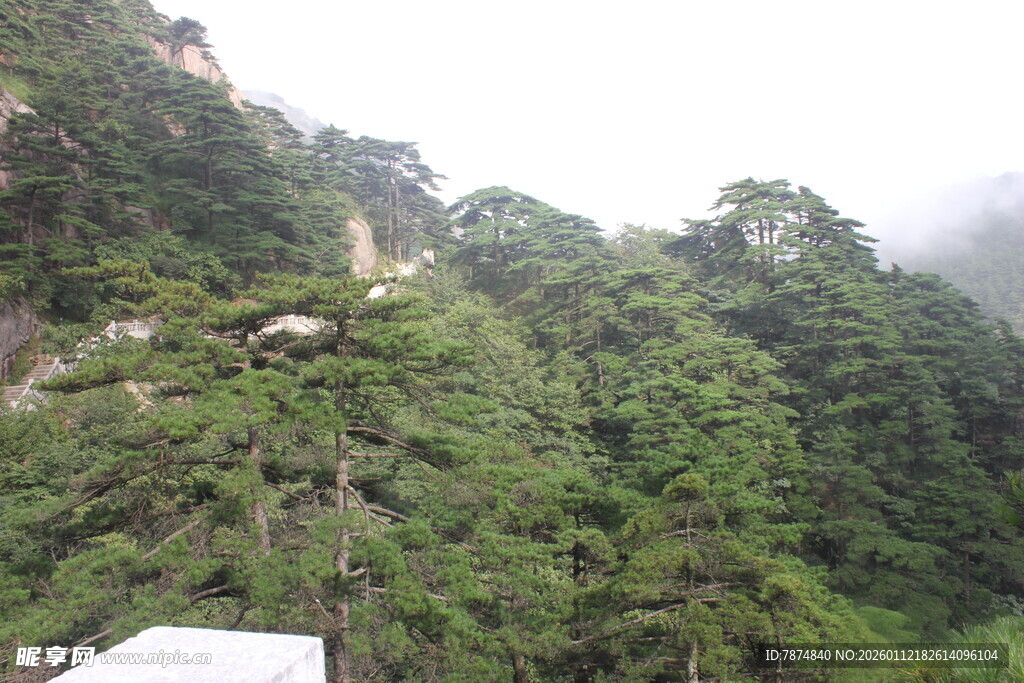 山间绿意盎然的自然景致