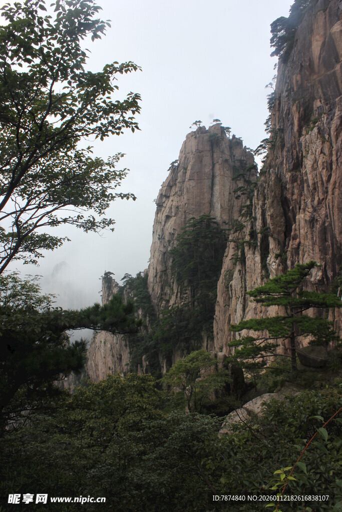 巍峨山峦间的葱郁景致