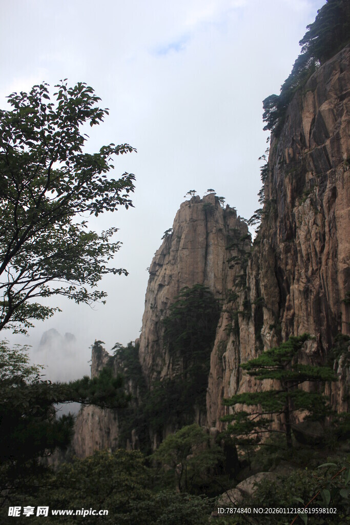 巍峨山峰与葱郁树木景观