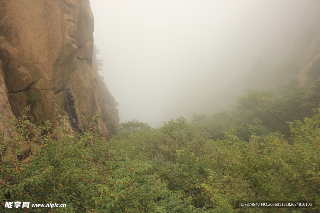 雾中峡谷绿意盎然