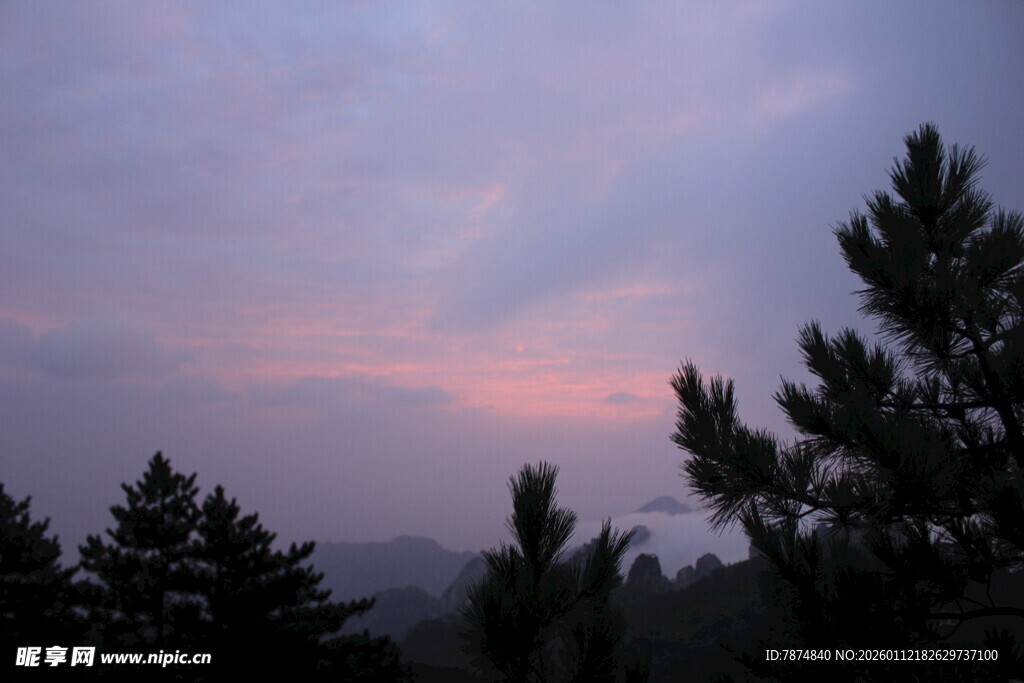 黄昏下的松林美景