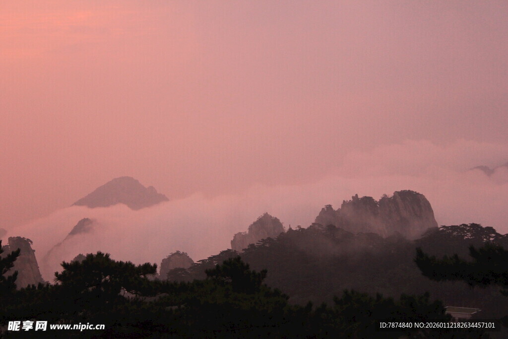 晨曦中云雾缭绕的山林