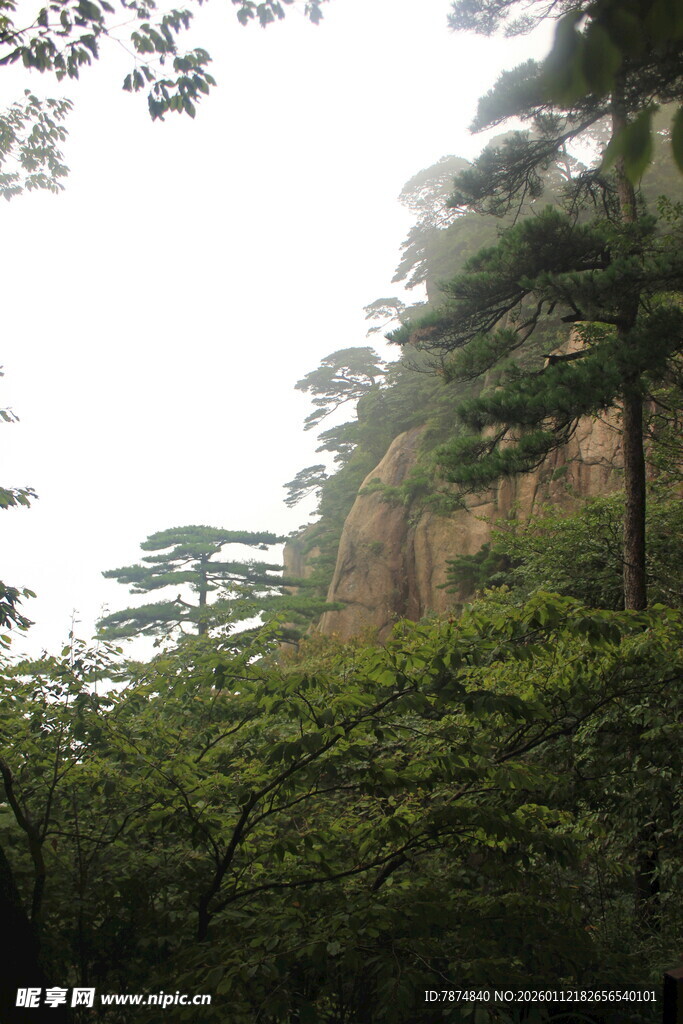 山林间的峭壁与葱郁树木