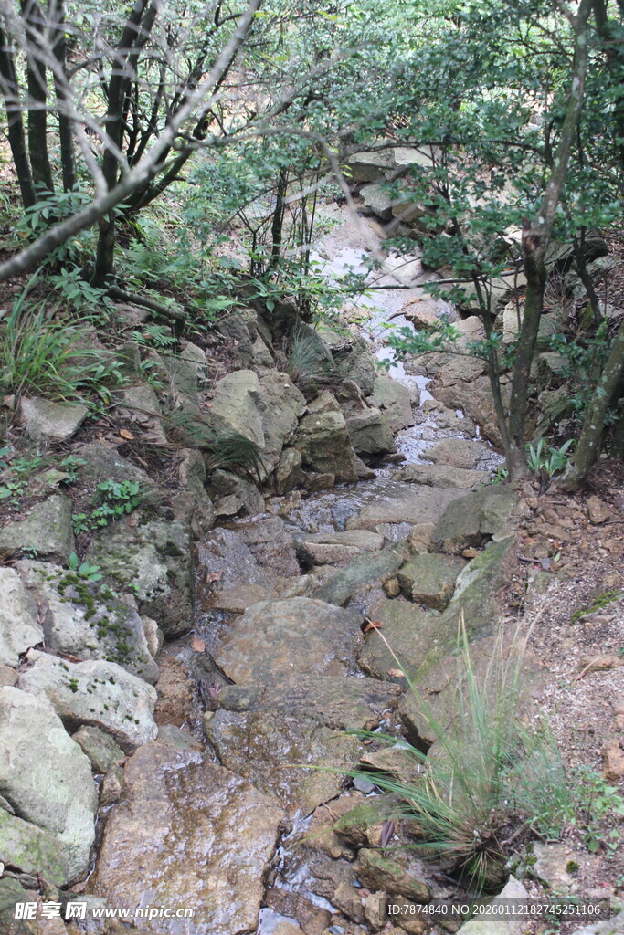 山间溪流旁的自然景致
