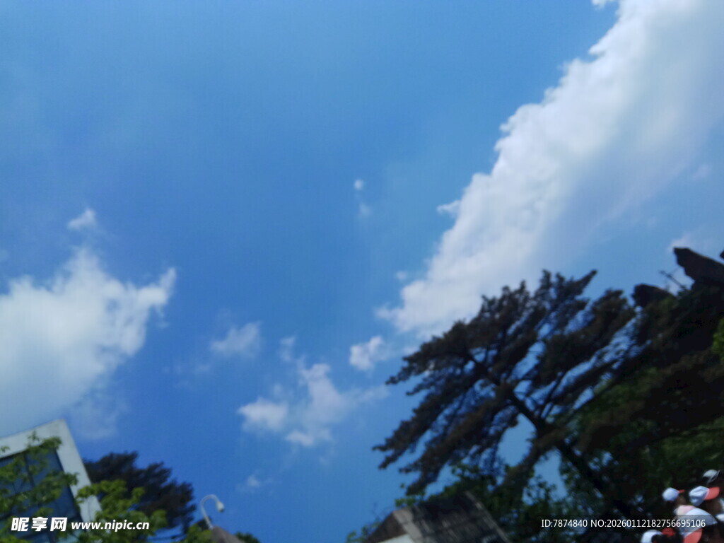 蓝天绿树间的晴朗景致