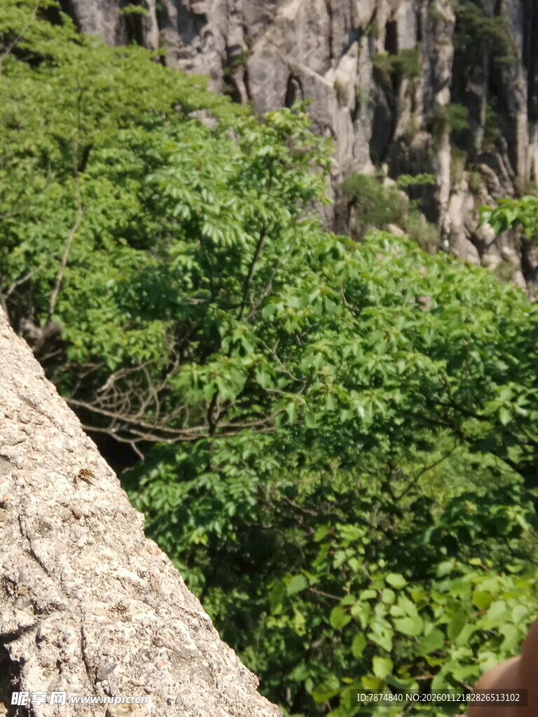 山间葱郁植被与陡峭岩壁