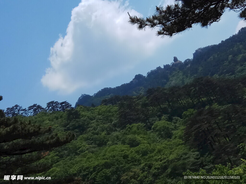 青山蓝天间的葱郁山林