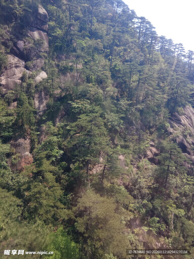 山林峭壁间的繁茂植被