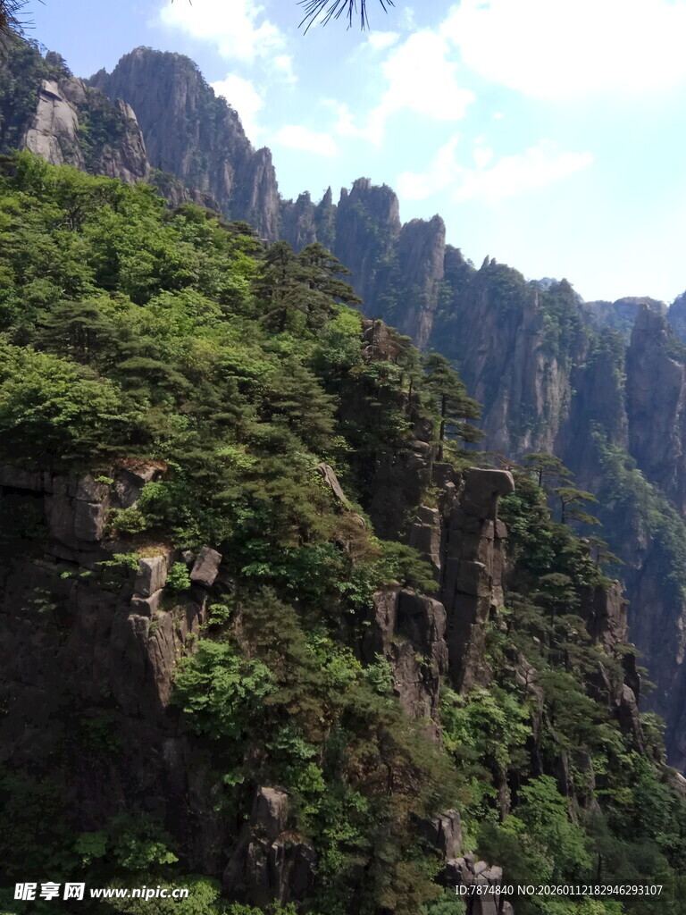 峻峭山峦覆绿植