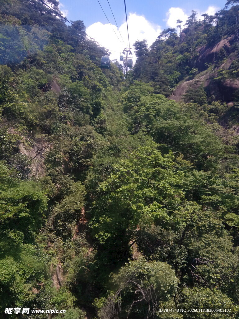 山间茂密葱郁的绿色植被
