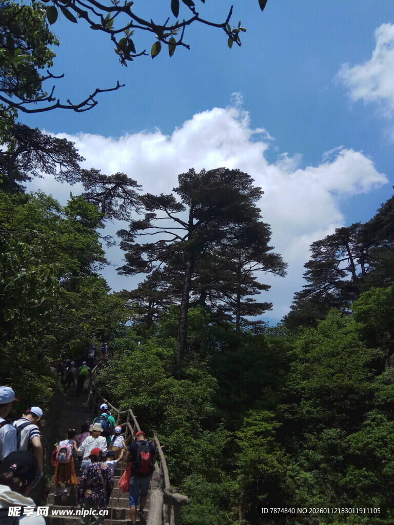 山林间的徒步旅行队伍