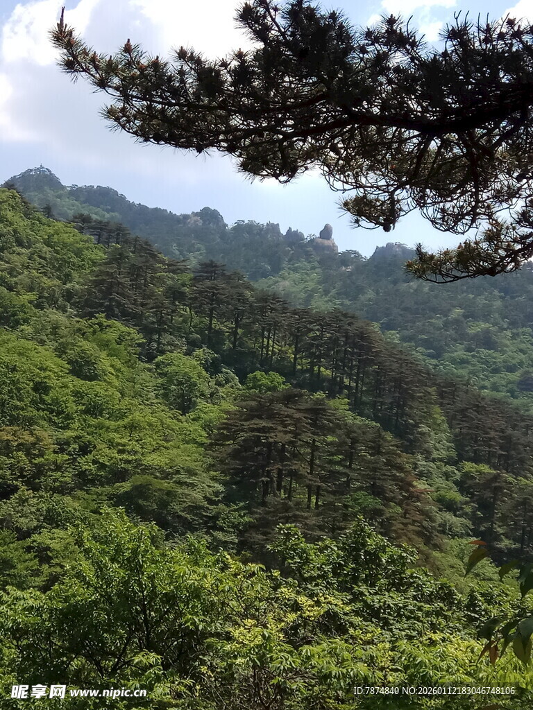 青山绿树间的自然美景