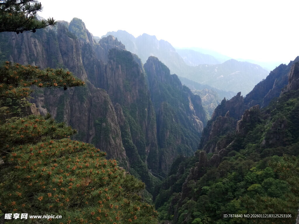 壮丽山峦间的葱郁景致