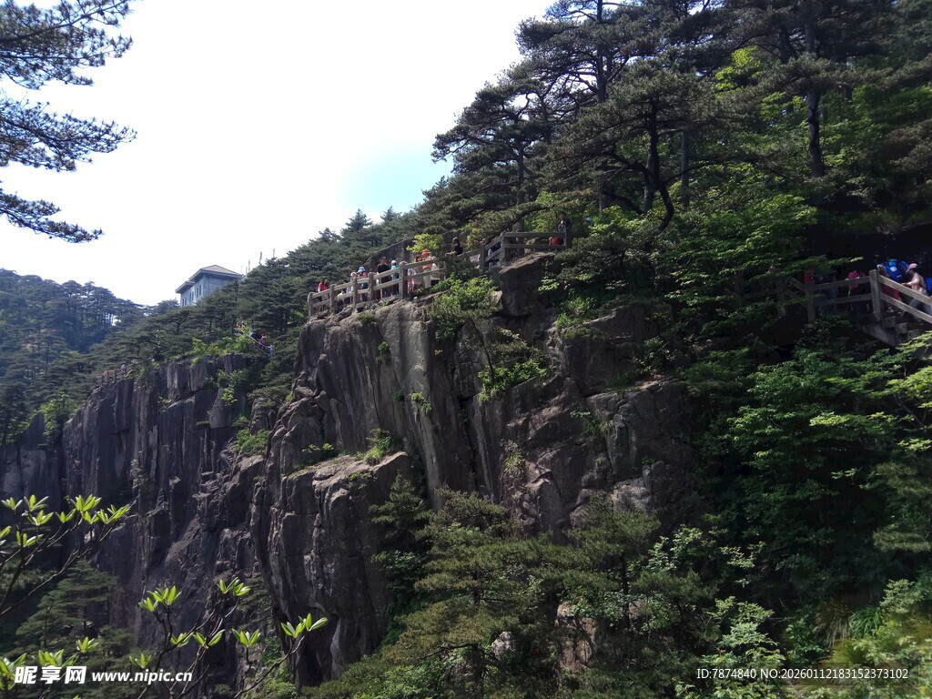 峻峭山壁旁的繁茂山林