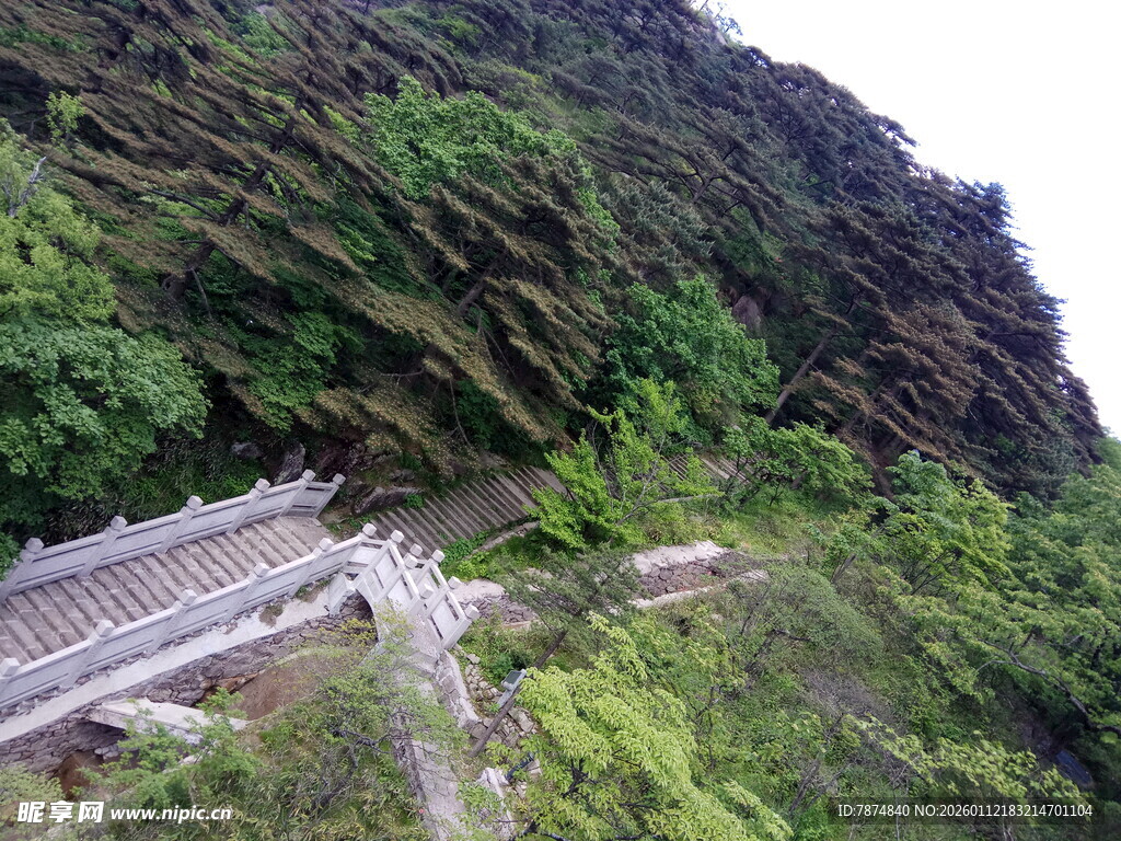 山间蜿蜒石阶 绿意环绕