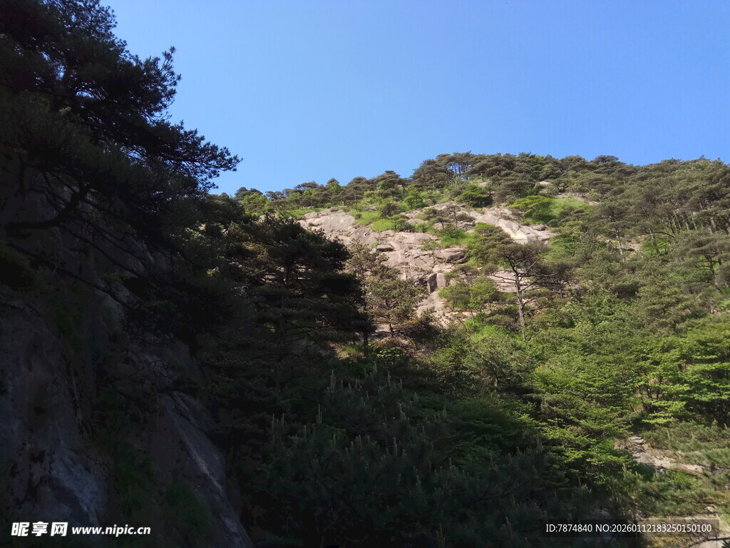 青山绿树间的秀丽山景