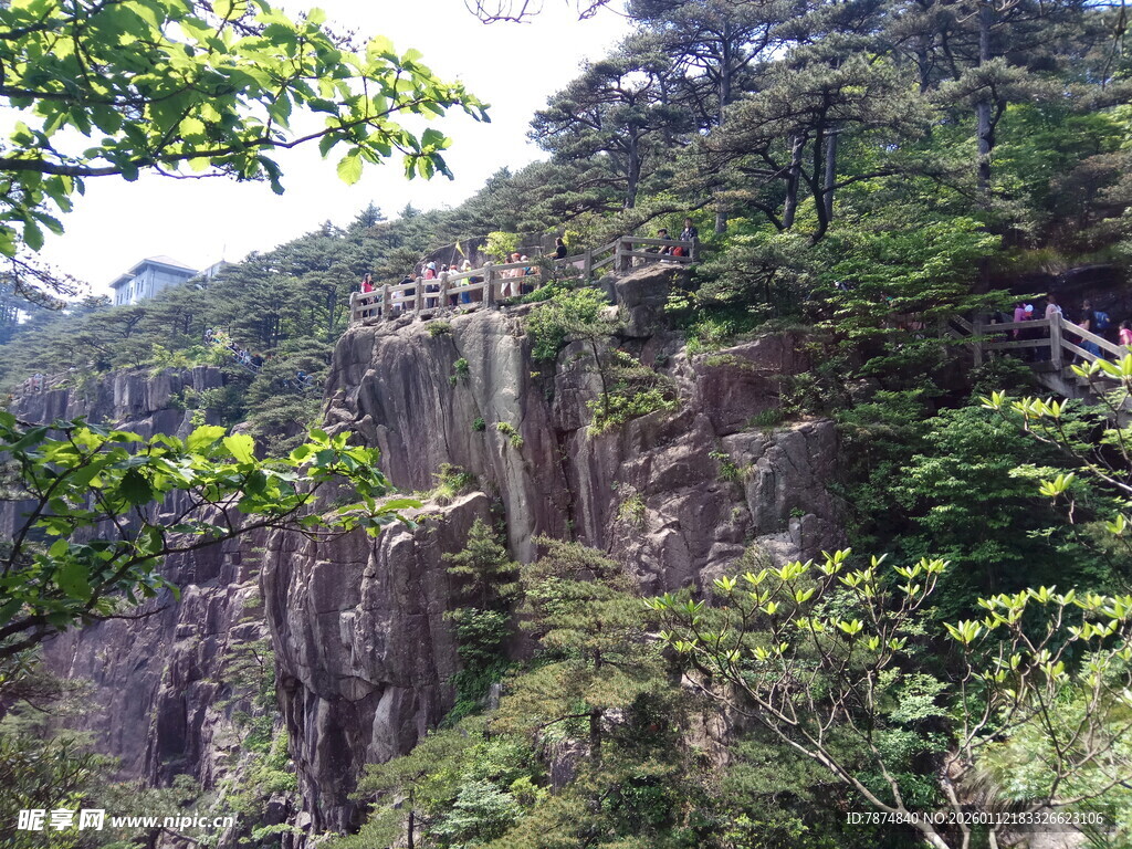 山间栈道隐于葱郁山林间