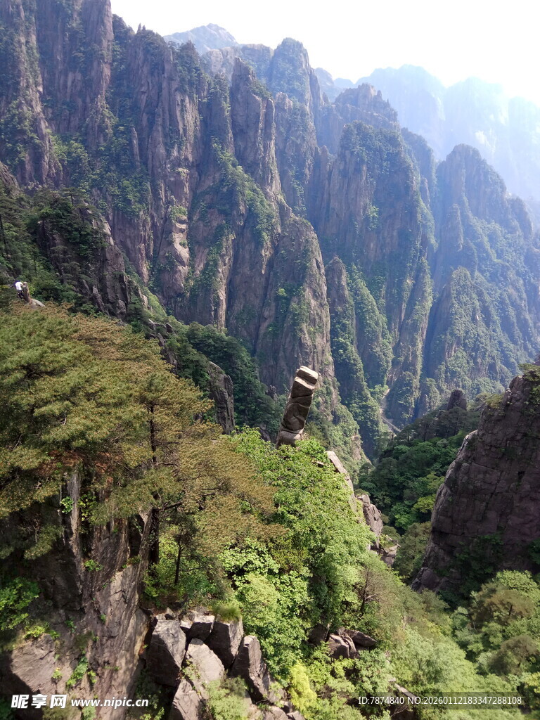 壮丽山峰与葱郁植被景观