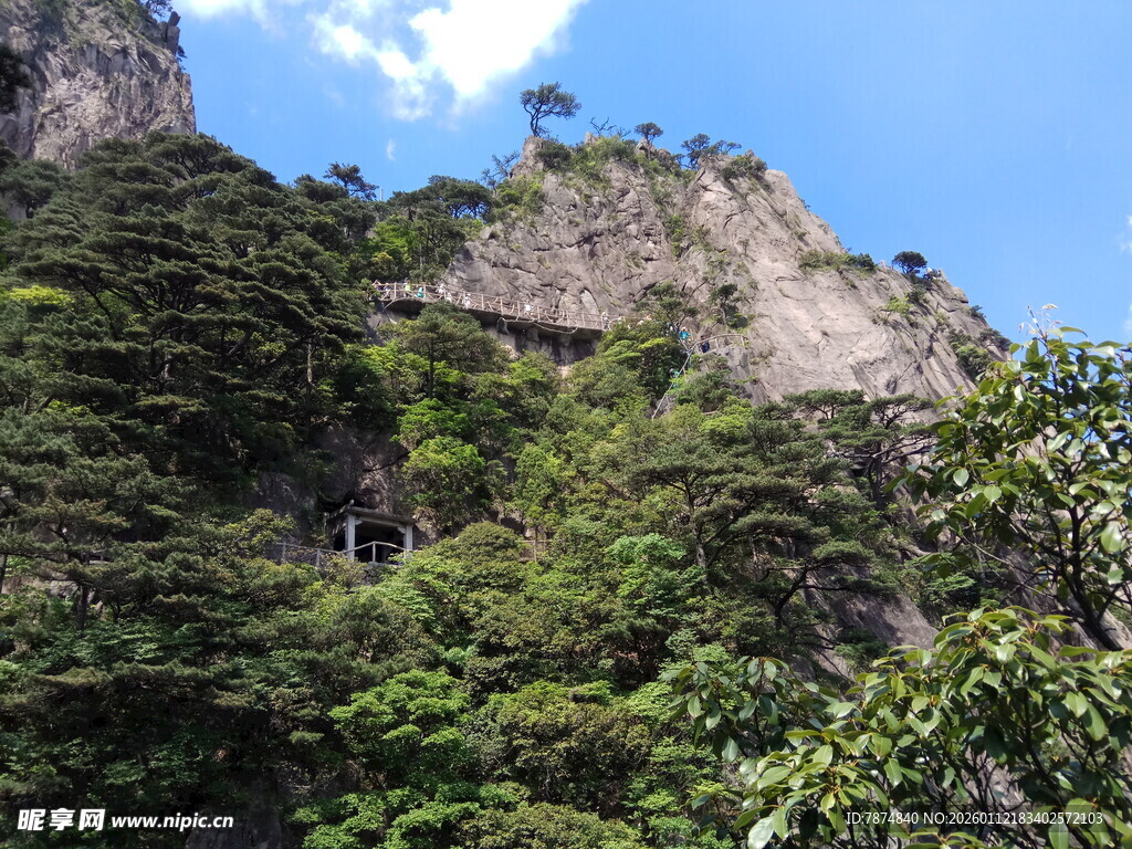 峻峭山峰上的繁茂植被