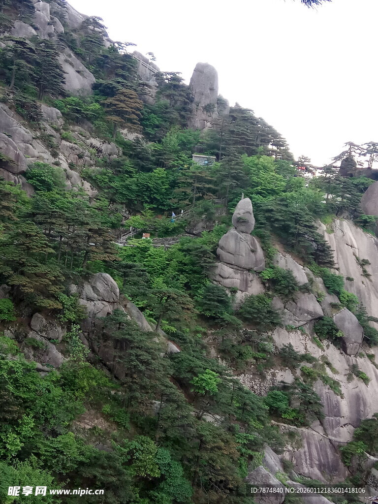 山峦绿植景观