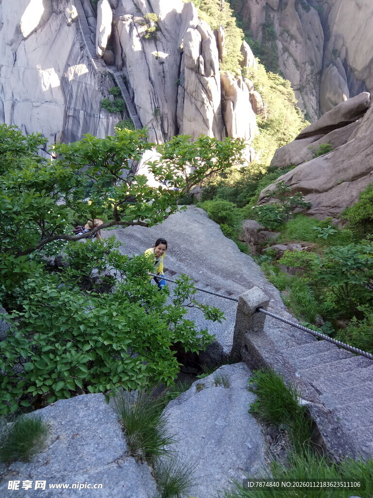 山间绿植与岩石景观