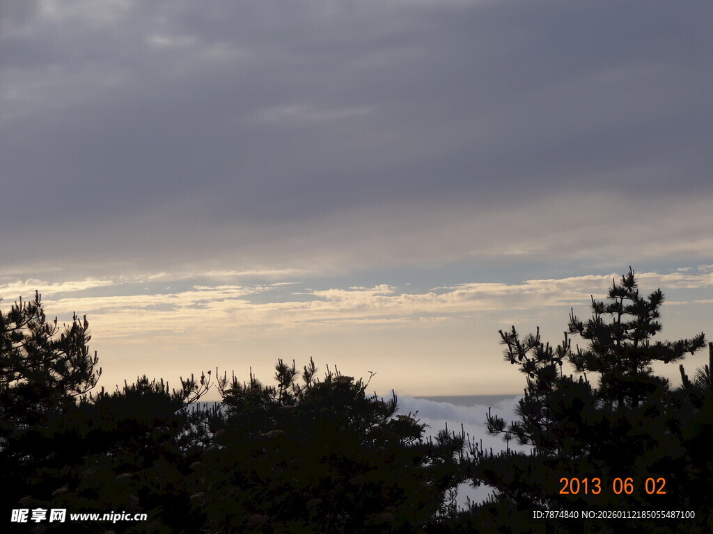 黄昏下的树林与天际