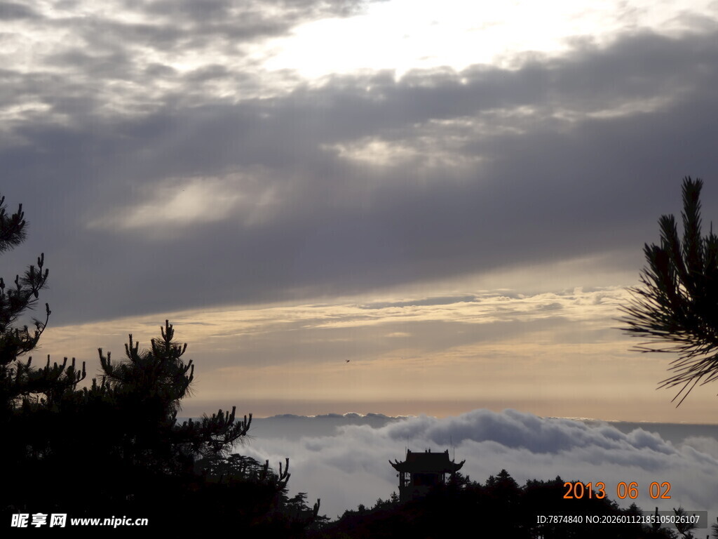 黄昏时分的天空与树木景观