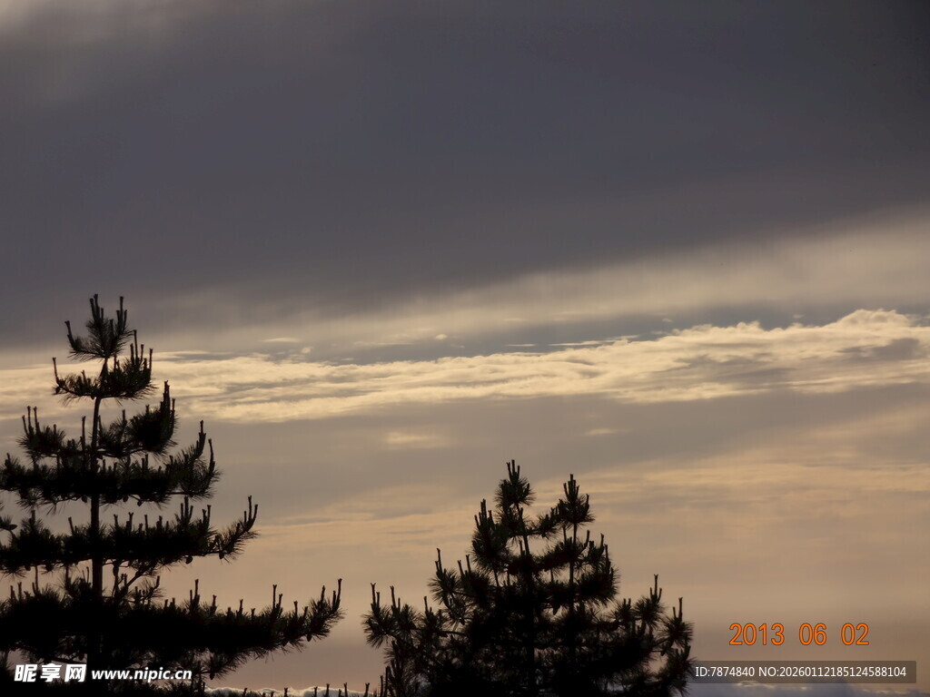 黄昏下的松树与天空