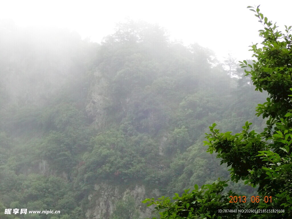 山间云雾缭绕的绿意景致