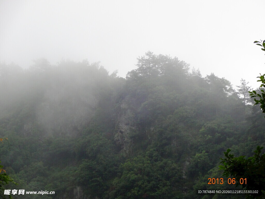 山间云雾缭绕的葱郁树林