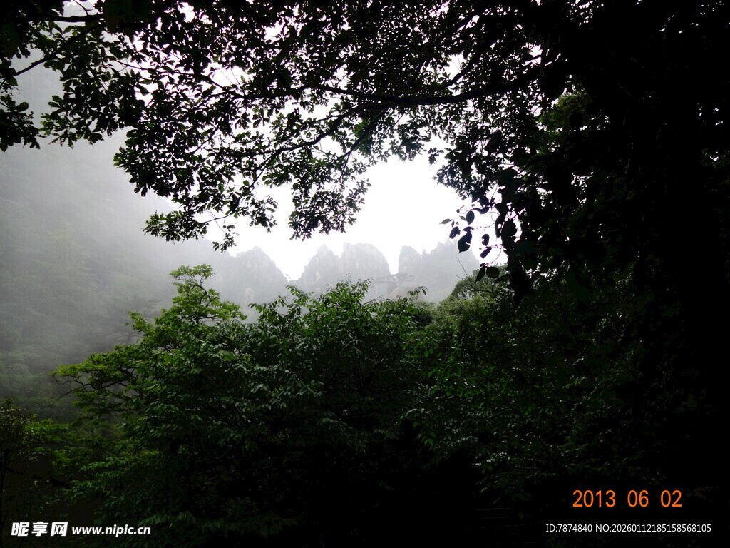 山林雾景 绿意盎然