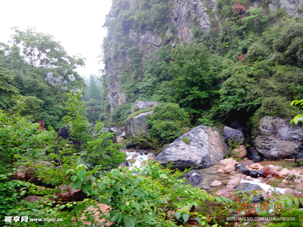 山间溪流旁的繁茂景致