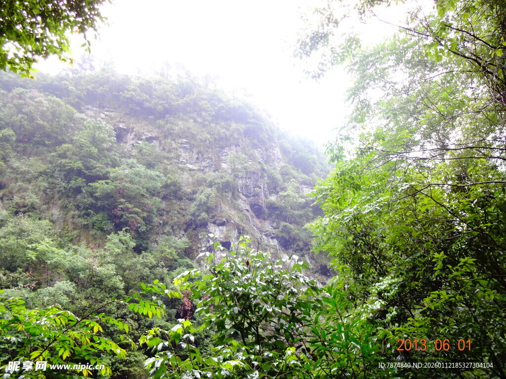 山林间的绿意盎然