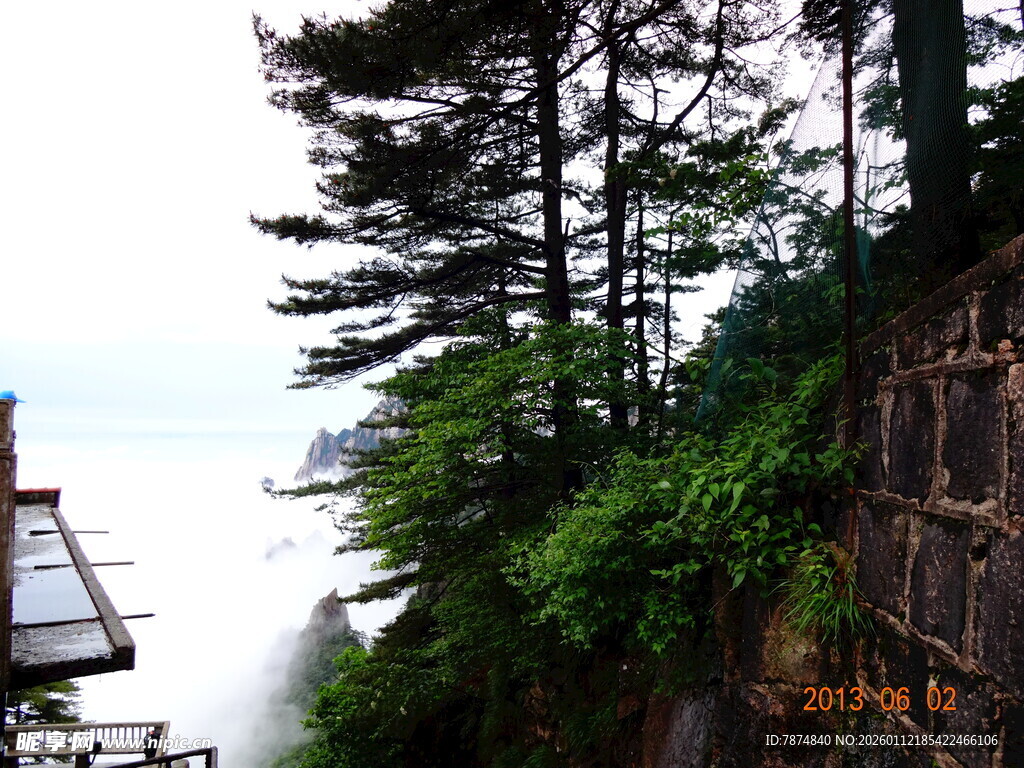 山间崖壁旁的葱郁树木