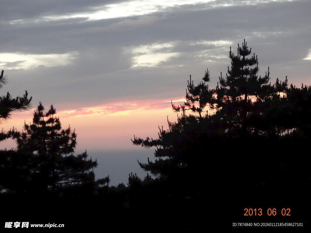 黄昏下的树梢剪影