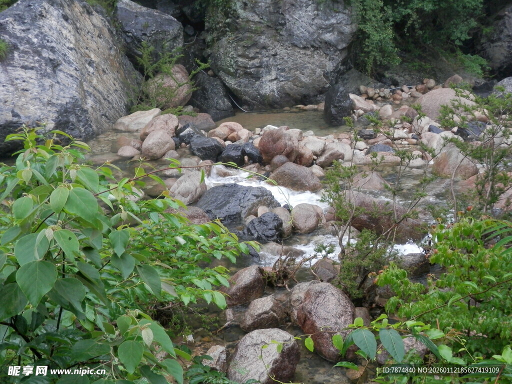 山间溪流旁的绿植与岩石