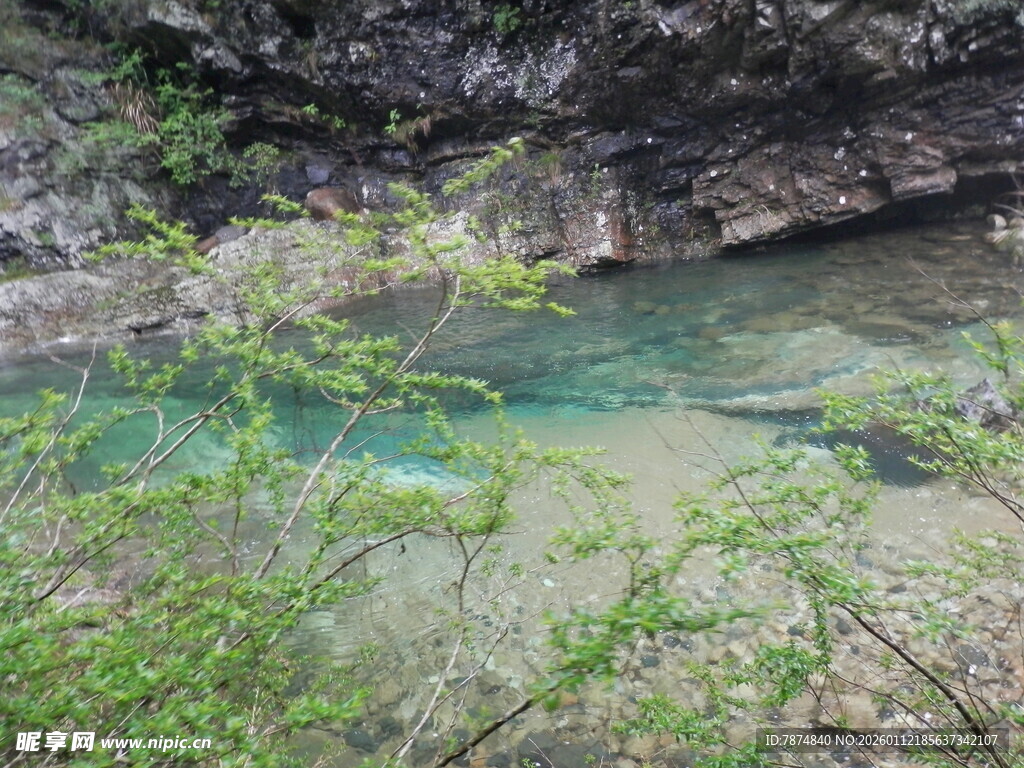 山间清澈幽潭绿意环绕