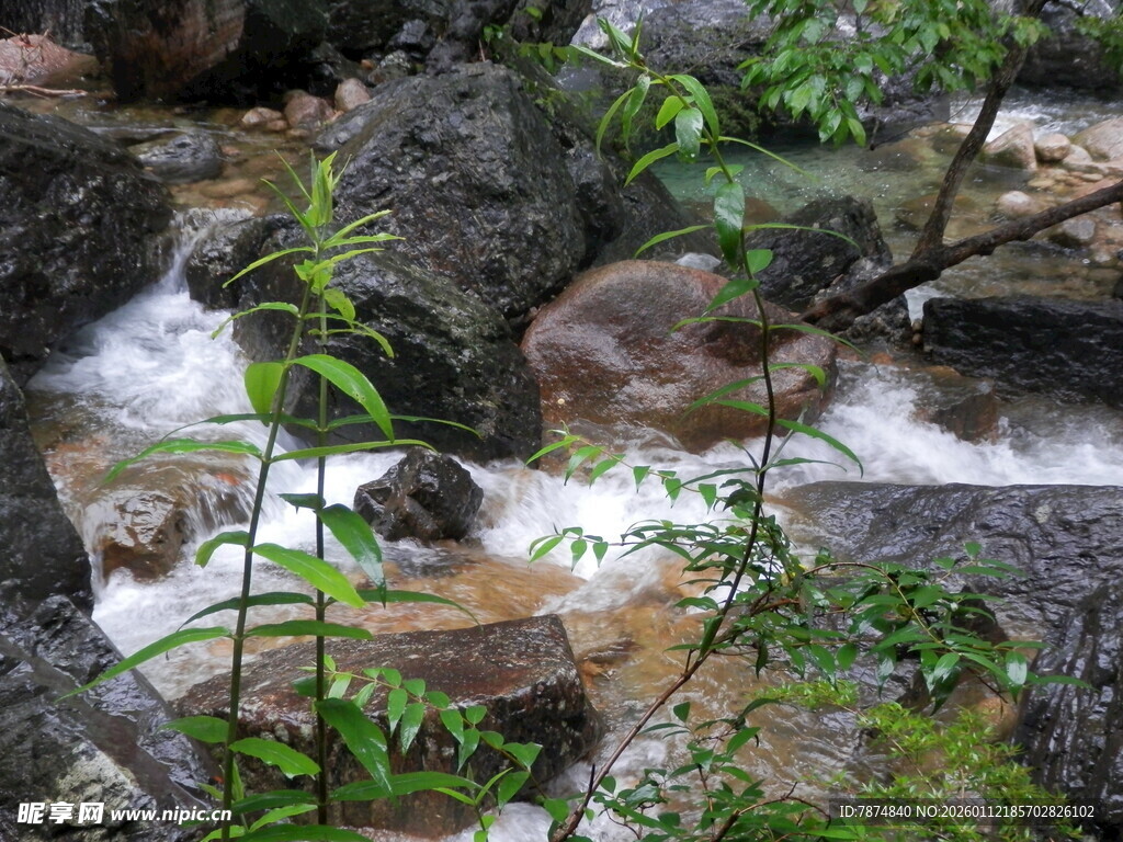 山间溪流潺潺 绿意盎然