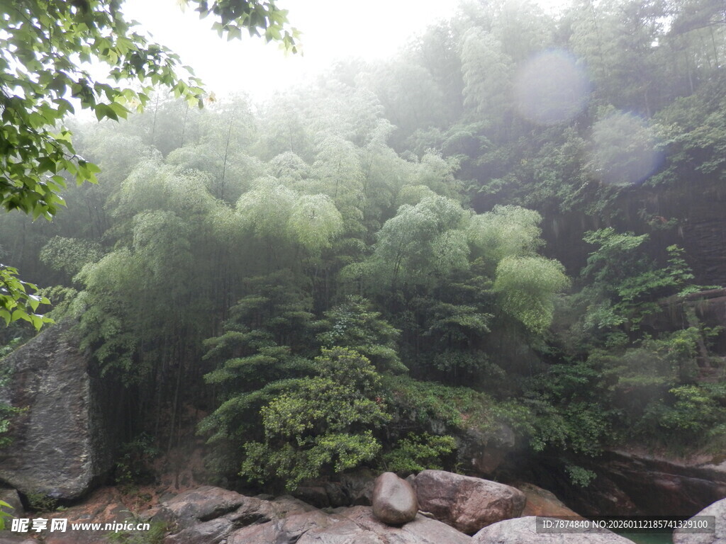 山林雾景绿意盎然