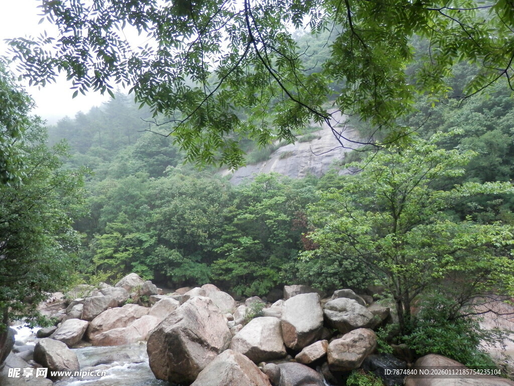 山林间的巨石与葱郁绿树