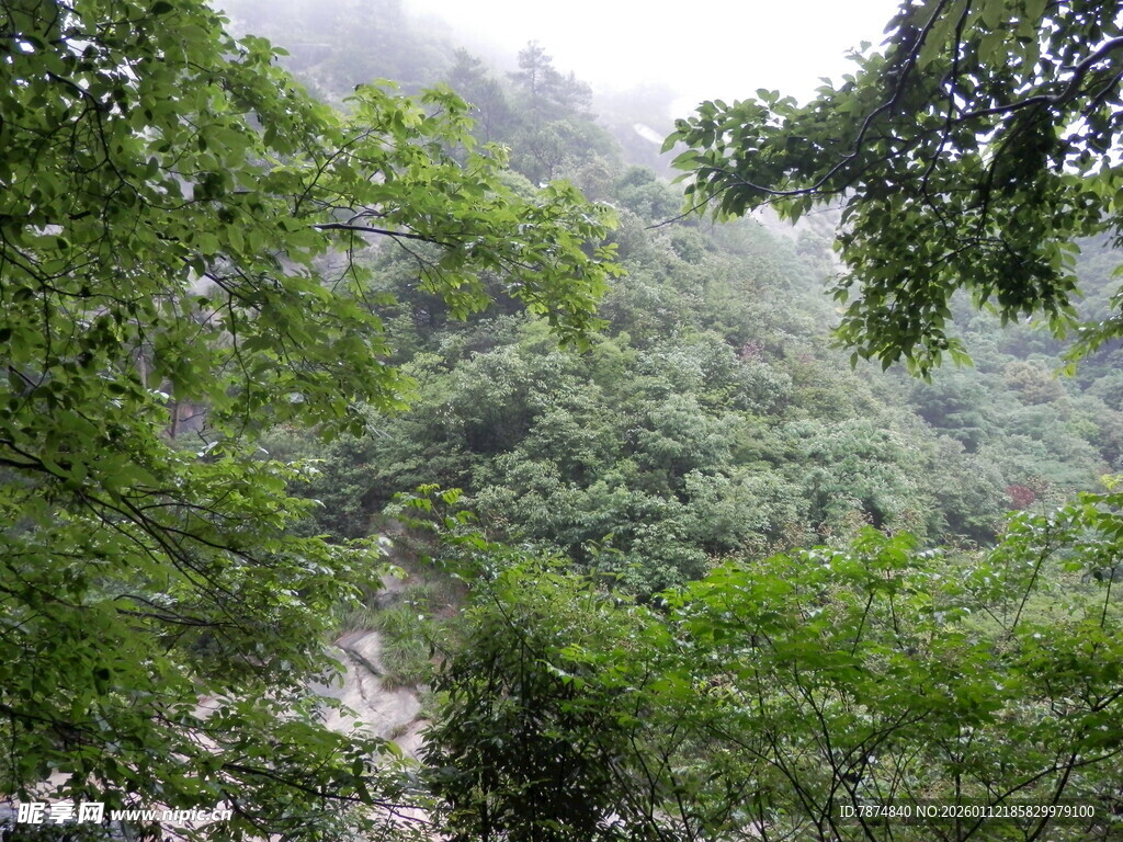 山林绿意盎然的自然景致