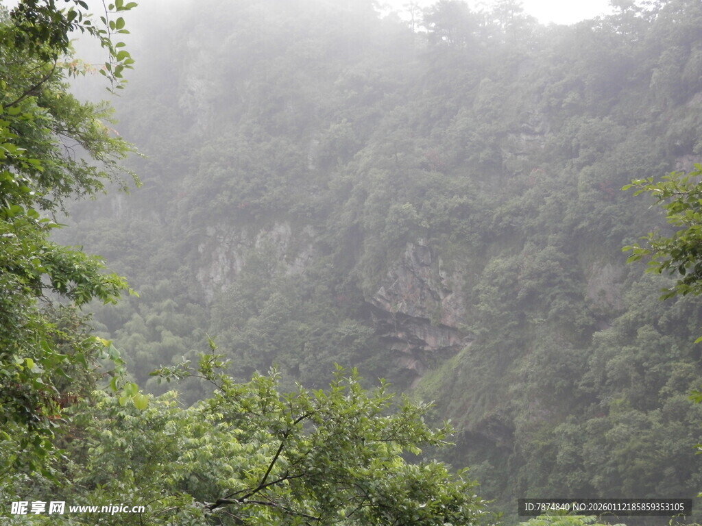 山间雾气弥漫的绿意景致