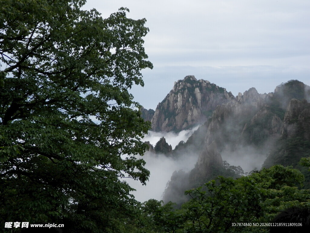 云雾缭绕的山间美景