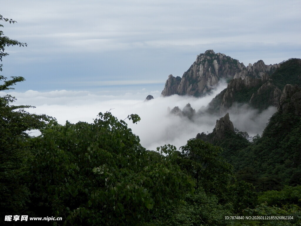 云雾缭绕的山林与峻峭山峰